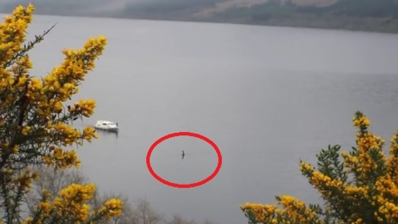 Mirror: Легендарното чудовище изнедващо се появи в езерото Лох Нес след 10-месечна пауза! (ВИДЕО)