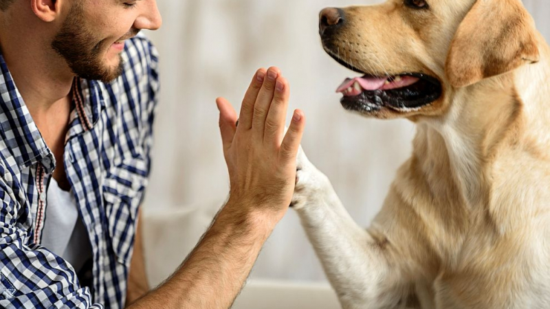 Три миризми, които хората могат да подушат по-добре от кучетата