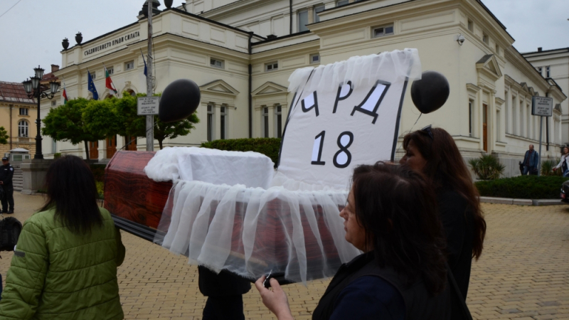 Фоторепортаж в БЛИЦ! Майки носиха ковчег пред парламента!