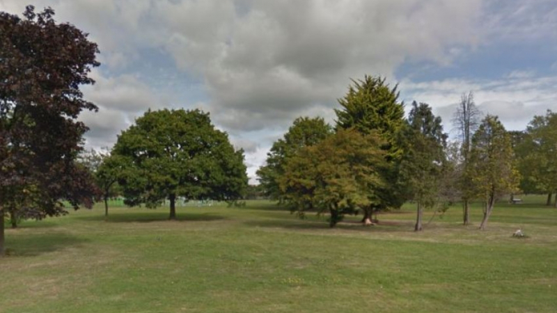 Лондон изтръпна: 13-годишен тийнейджър изнасили свой съученик в парк
