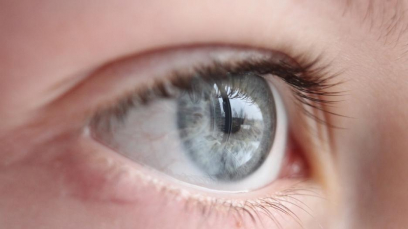Учени инжектираха очи с вирус на настинка, а след това се случи нещо уникално