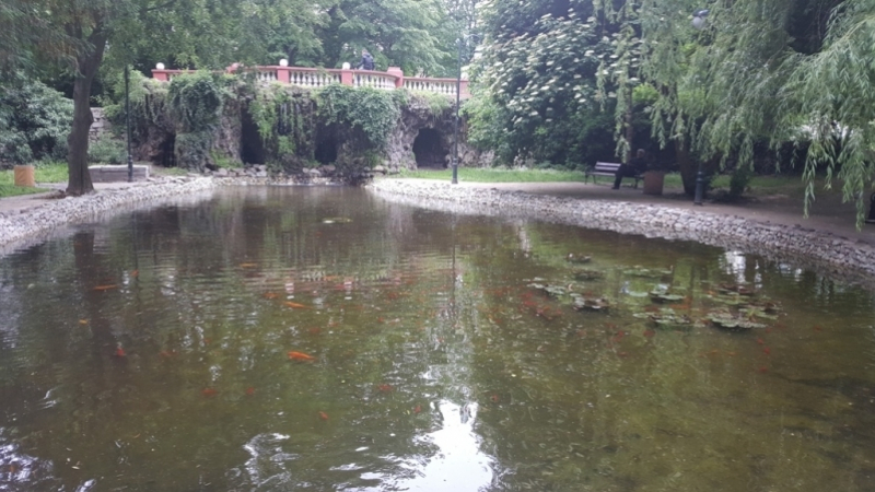 Красота! Златни рибки плуват в Цар-Симеоновата градина (СНИМКИ)