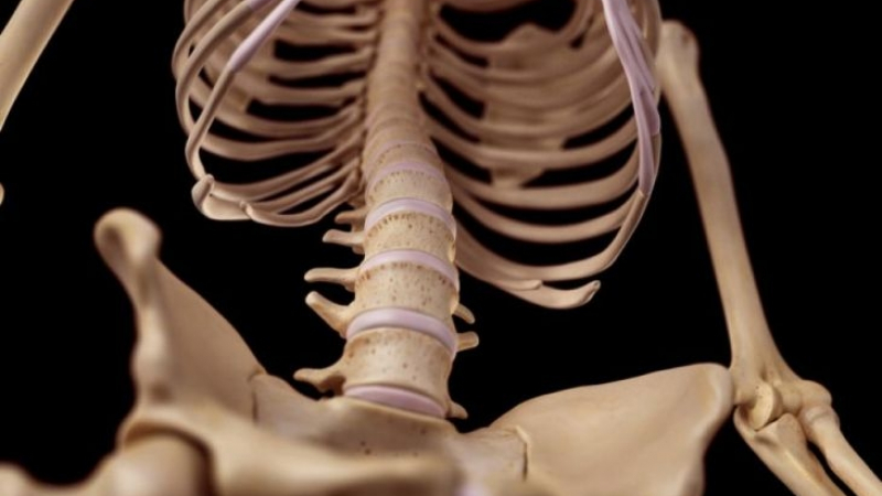 Сензационните и странни открития продължават: Учените не могат да си обяснят този скелет и какво е сполетяло притежателката му (СНИМКИ/ВИДЕО)