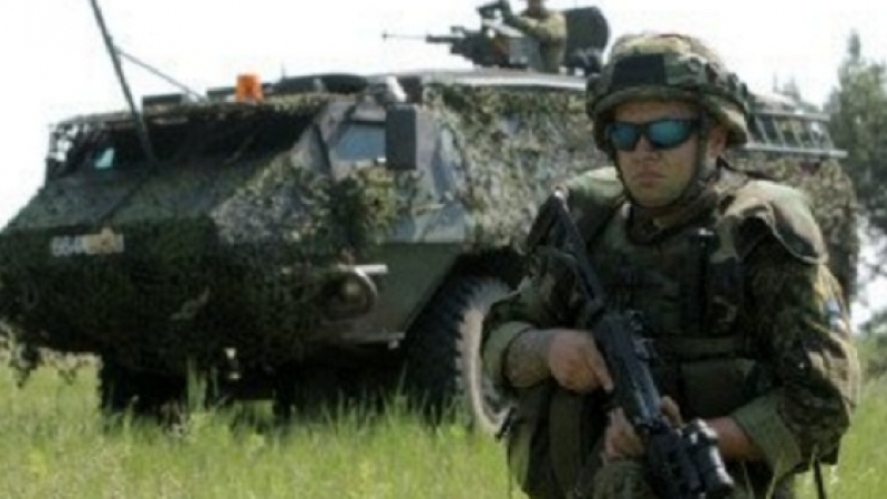 Естонец посрещна с изстрели и вик "Горе ръцете!" войници от НАТО, нагазили в градината му, съдят го строго