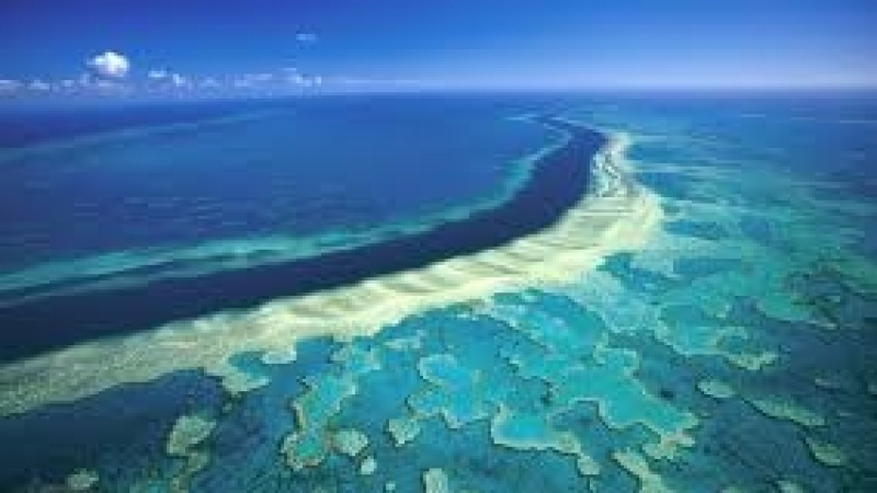 Учени бият тревога: Големият бариерен риф загива!