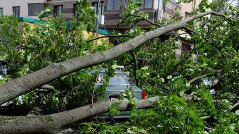 В Москва е страшно! Ураганен вятър поваля всичко по пътя си, съобщава се за загинали (СНИМКИ/ВИДЕО)
