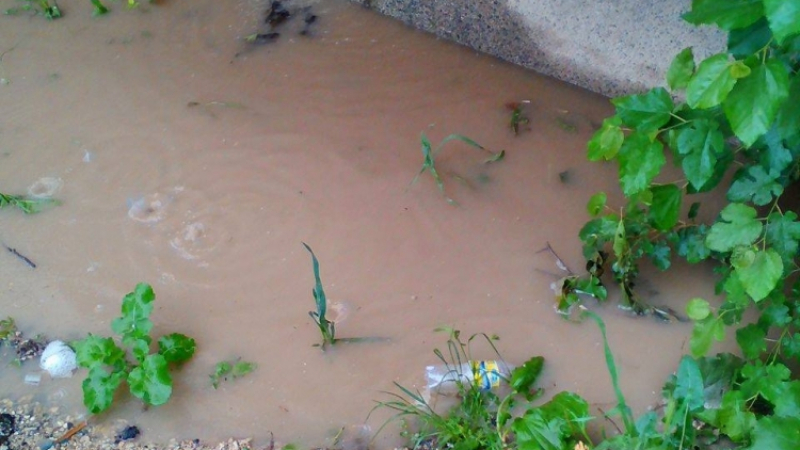 В 21 век: Врачани газят във вода и кал, за да стигнат дo домовете си (СНИМКИ/ВИДЕО)