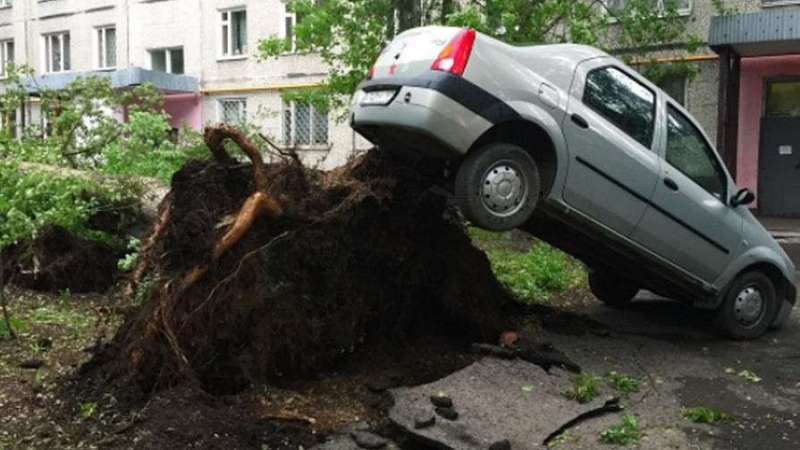Ужас, паника и разрушения! Топ 5 на най-страшните ВИДЕА от урагана в Москва