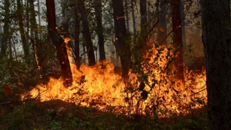 Туристи, нарушители на закона, разпалиха огнен ад до природен феномен до Шумен, извънредната ситуация ще продължи с дни 