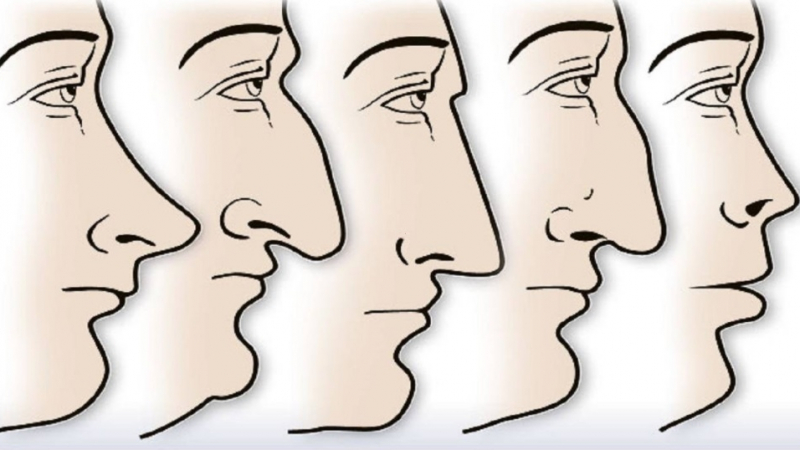 Погледнете формата на носа си и ще научите много за вашия характер (ВИДЕО)