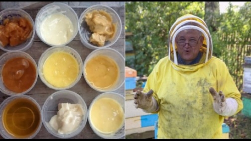 Всеки мед е сладък, но не всеки е полезен! Тайните от кухнята разкрива пчелар с 30-годишен стаж