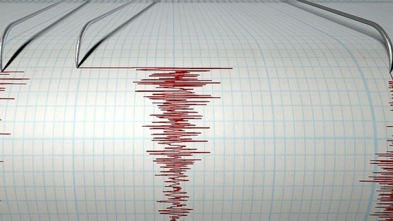 Силно земетресение разтърси Грузия