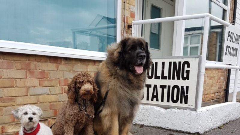 Всички във Великобритания се вълнуват от вота! Пред изборните секции се изшиха опашки от... (СНИМКИ)