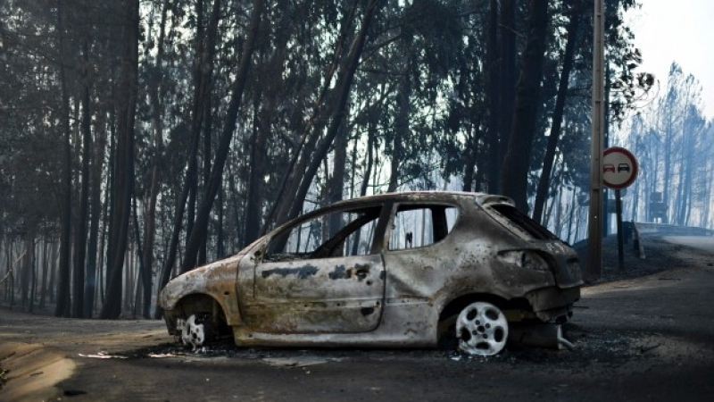 Огнен ад изпепелява Португалия! Загиналите са вече близо 60, повечето са изгорели в колите си! Ужасът във ВИДЕО и СНИМКИ 