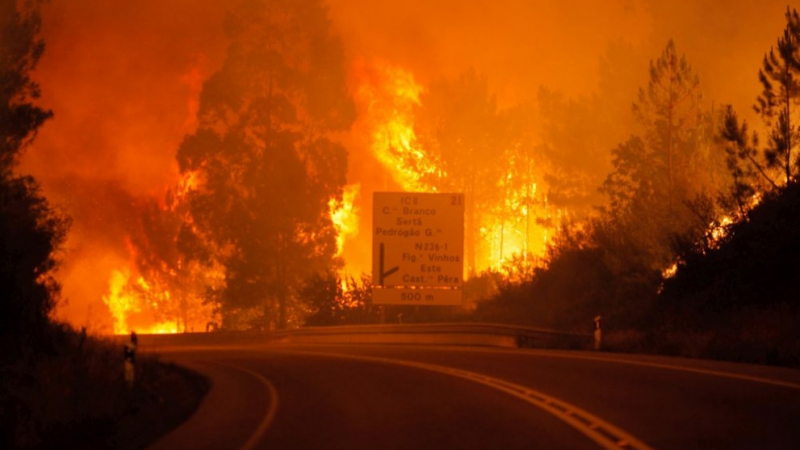 Съобщиха има ли пострадали българи при пожарите в Португалия и с кого трябва да се свържат близки, ако искат да подадат сигнал 