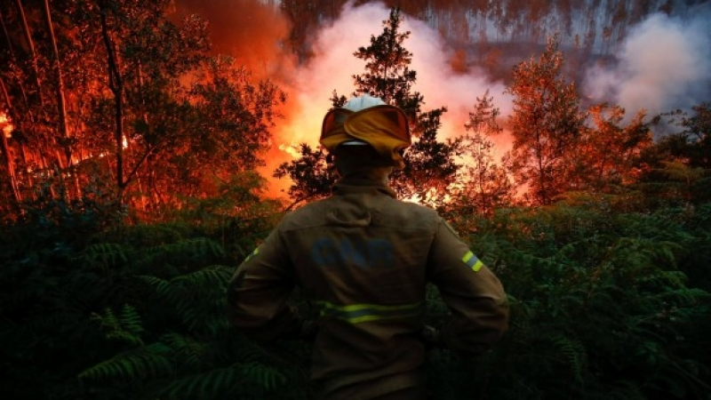 Покъртително: 12 души оцеляха като по чудо в огнения ад в Португалия (СНИМКА) 