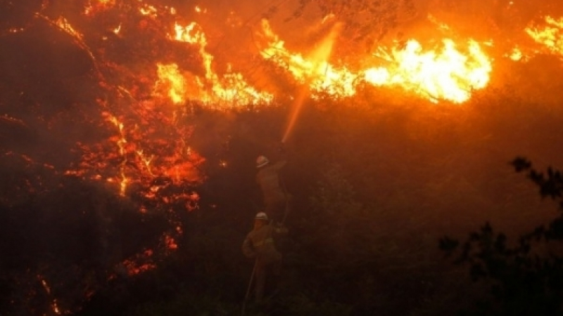 Голям пожар бушува на о-в Корфу, хвърчат пожарни и самолети