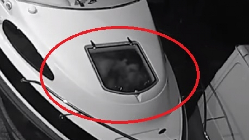 Камера засне как крадци правят секс на борда на ограбена от тях яхта (СНИМКИ/ВИДЕО)