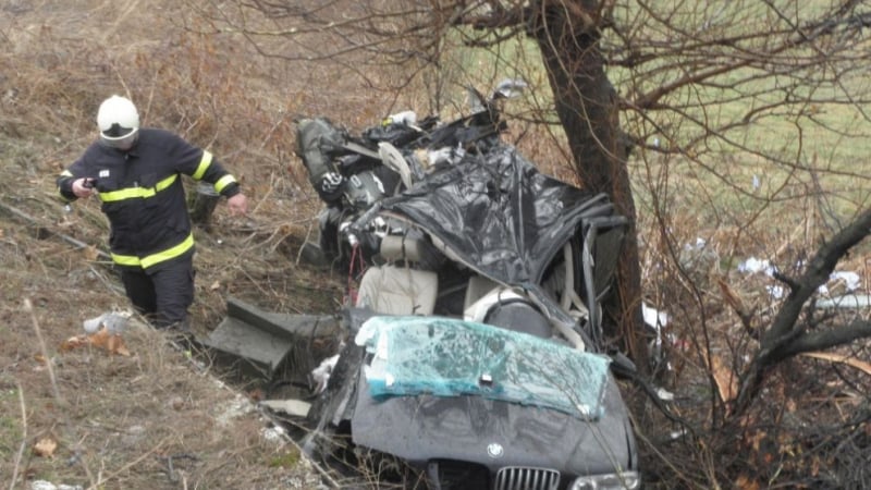 Полицията в Пазарджик иска да се изсекат всички дървета около магистралите