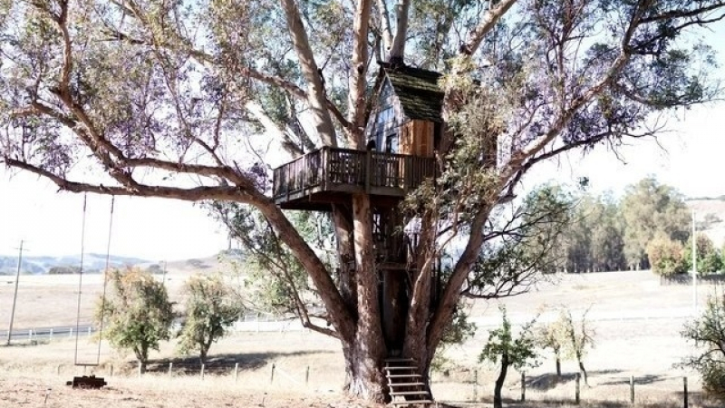 10 страхотни къщи на дърво, които може да наемете (СНИМКИ)