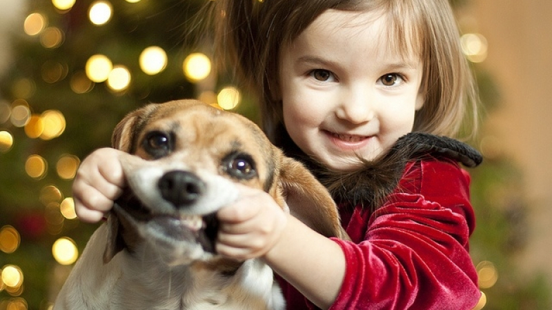 Дете и куче под един покрив – ето какво трябва да знаете