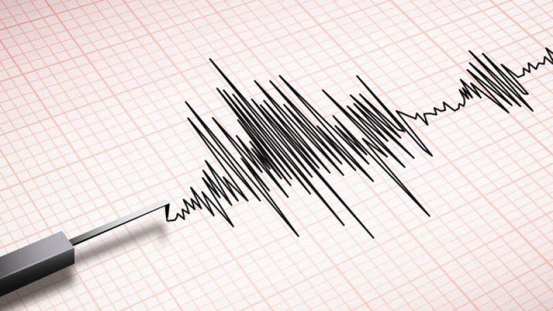  Земетресение с магнитуд 6.0 по Рихтер бе усетено в Еквадор