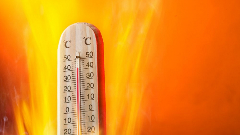 Отчетоха абсолютен температурен рекорд в Хасково
