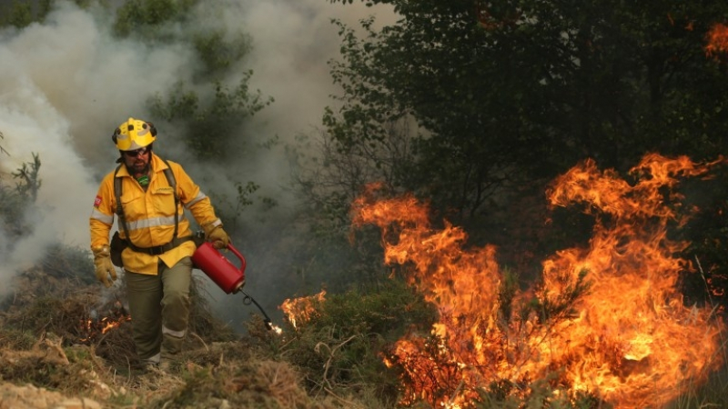 6 пожарни се борят с огнен ад до Поповица край Пловдив 