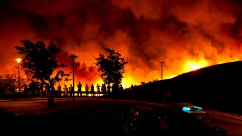 Огненият ад в Португалия продължава, има нови пострадали 
