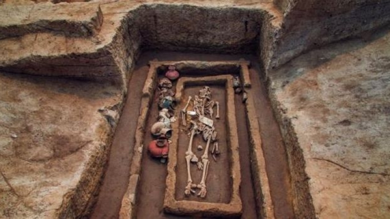 Археолог сензационно: По цял свят намират останки от великани, някои от тях са били с ръст 3-3,5 метра, но това нарочно се крие
