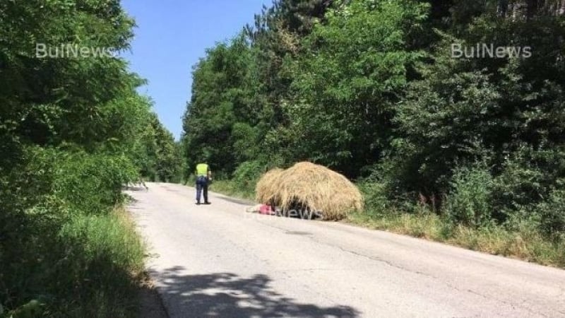 Край на мистерията: влачената от каруца Иванка умряла от инсулт