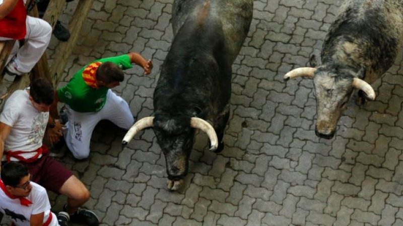 Това, което стана при първото пускане на биковете в Памплона, е ужасно (СНИМКИ)