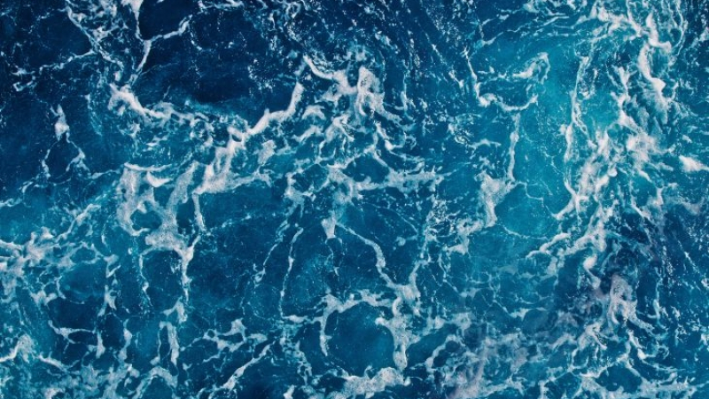 Падна една от най-загадъчните мистерии на океана