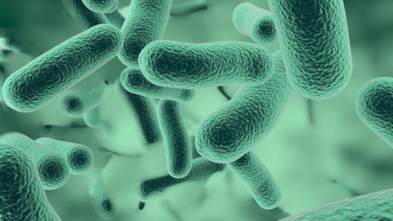 Учени със сензационно откритие за бактериите, което ще ви втрещи!
