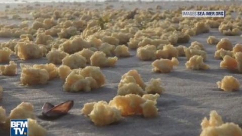 Загадъчни жълти топки покриха френските плажове