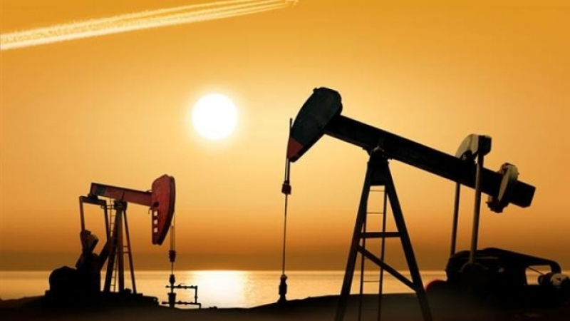 Саудитска Арабия свива износа, петролът сдържано поскъпва. 