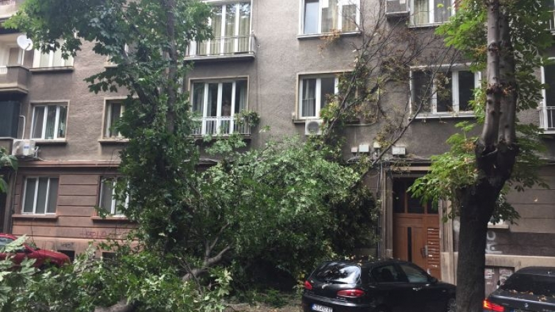 След мълниеносната буря: Огромни поразии в София! (ВИДЕО/СНИМКИ)