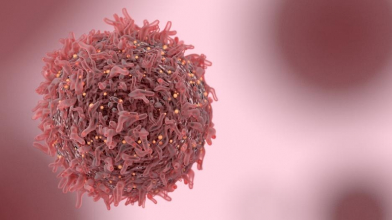 Проучване от Манчестър твърди: Ракът е създаден от човека