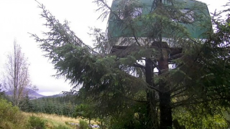 Уникално! В Шотландия можете да отседнете във фургон на дърво (СНИМКА)
