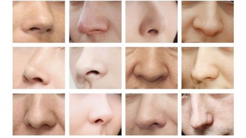 Кажи ми каква форма е носът ти, за да ти кажа какъв ти е характерът