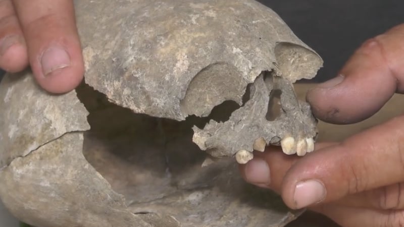 Археолози откриха загадъчни останки на малко дете или извънземно (ВИДЕО)