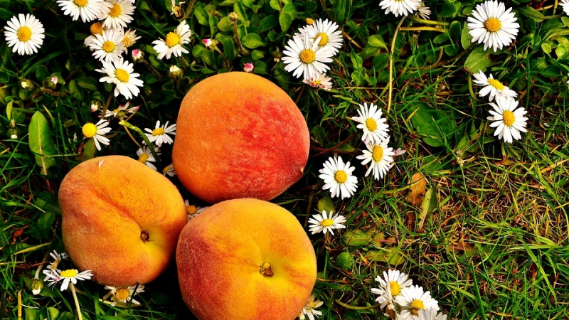 10 неподозирани факти за един от най-популярните, вкусни и сочни плодове