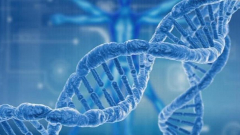 Историческо: Изследователи коригираха за първи път дефектни гени при човешки ембриони