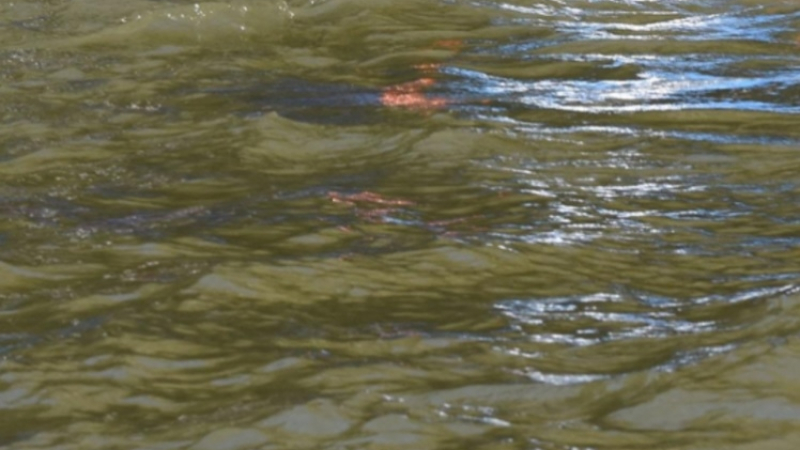 Страшна трагедия, млад мъж се удави край Балчик, близките му са неутешими