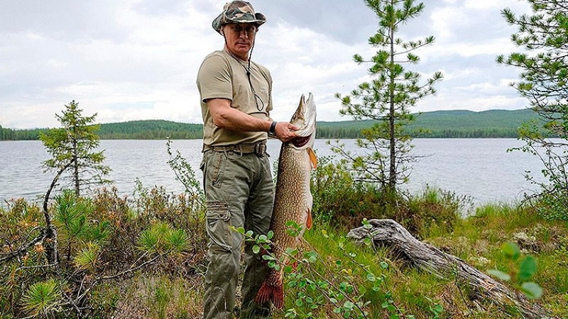 С маска и шнорхел Путин преследва два часа щука под водата, прострелва я с харпун