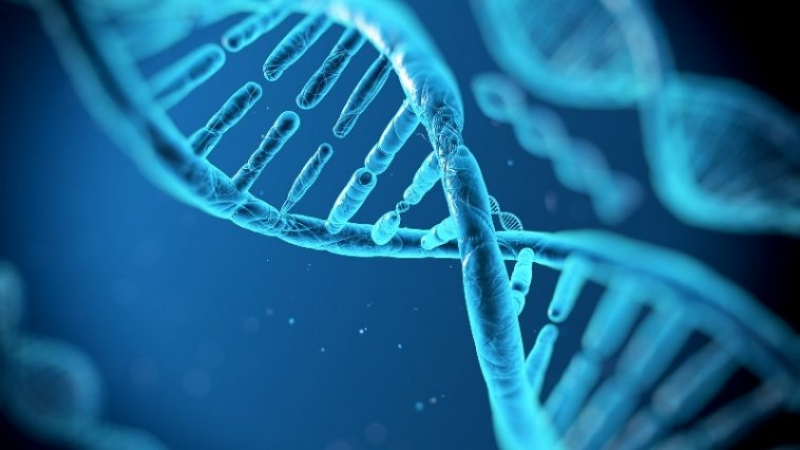 Учени успяха да „поправят“ човешка ДНК и да отстранят дефектен ген