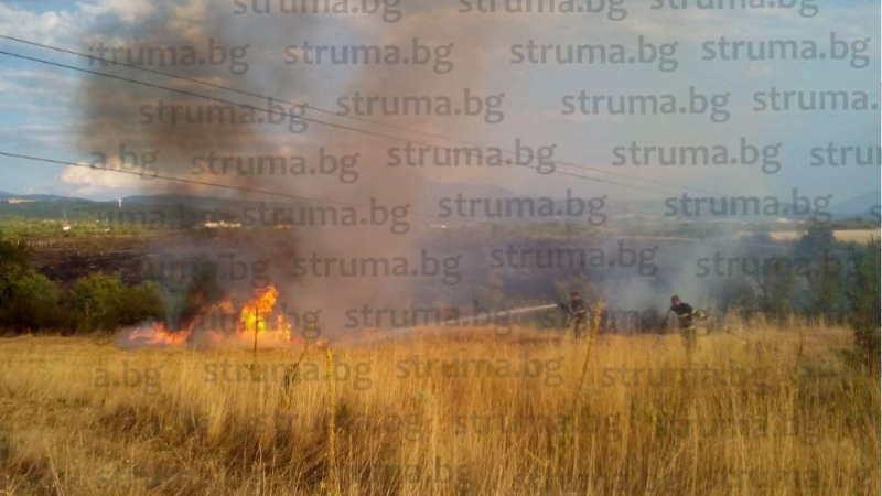 Огромен пожар пламна край Рилци, 4 пожарни гасят пламъците (СНИМКИ)
