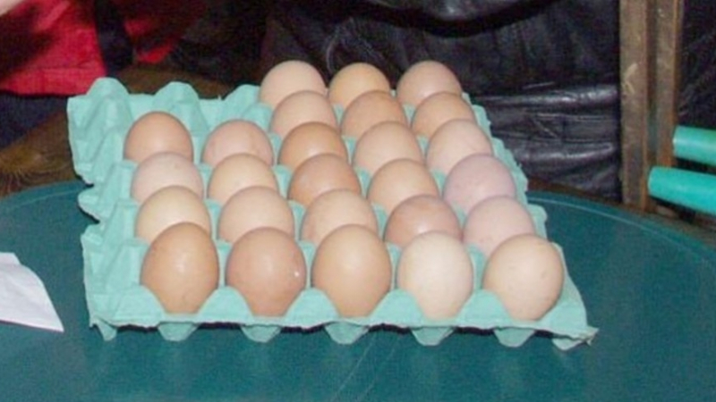 Отровата се разпростира! Откриха заразени яйца и във Франция