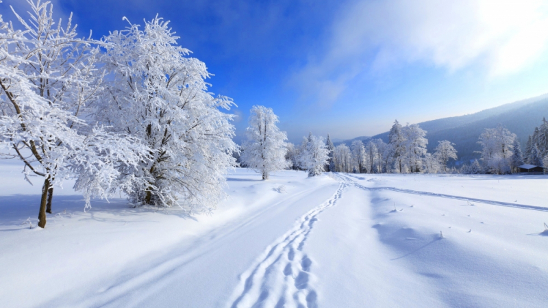 Минало ли са класическите зими с по 2-3 студени месеца и много сняг?