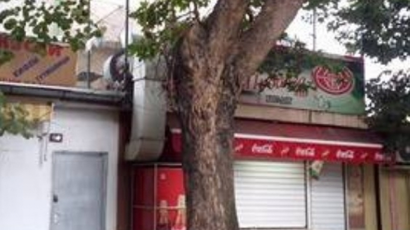Голяма опасност надвисна над дюнерджийница в Пловдив (СНИМКИ)